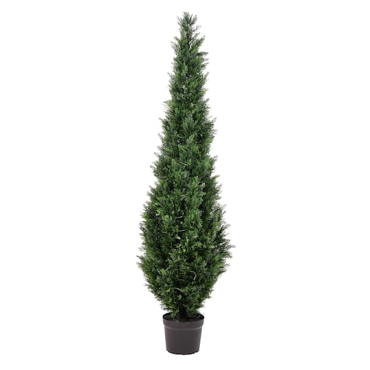 6ft. Potted Cedar Tree